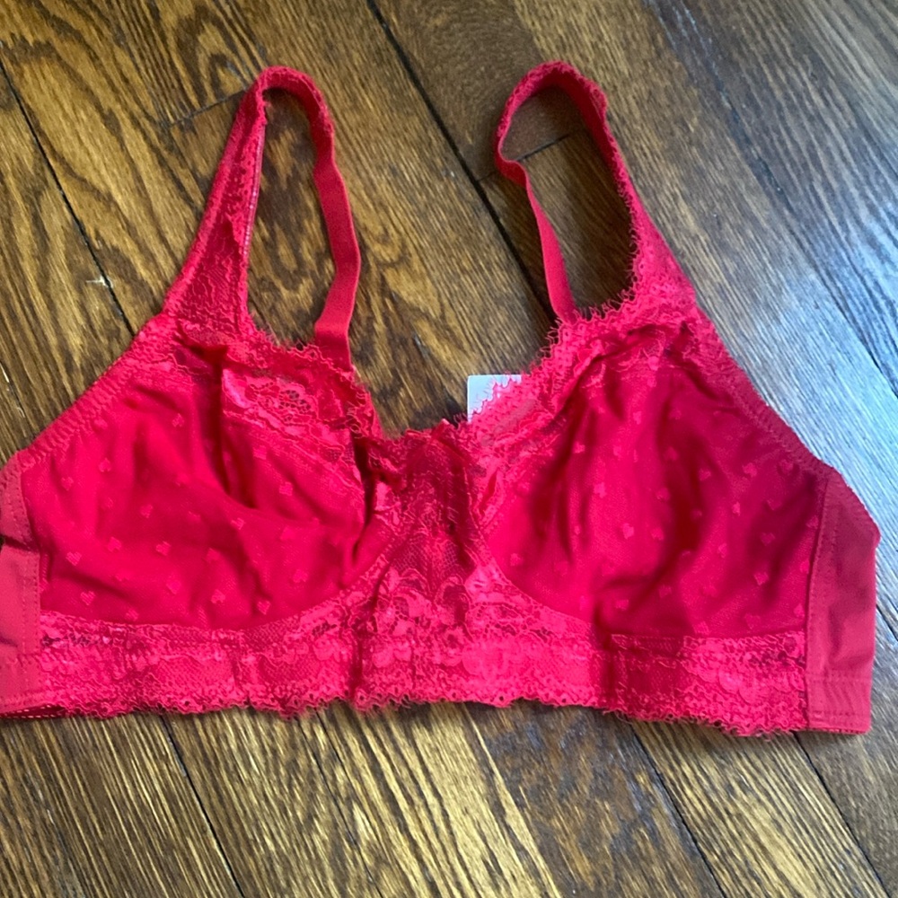 Curve muse lingerie